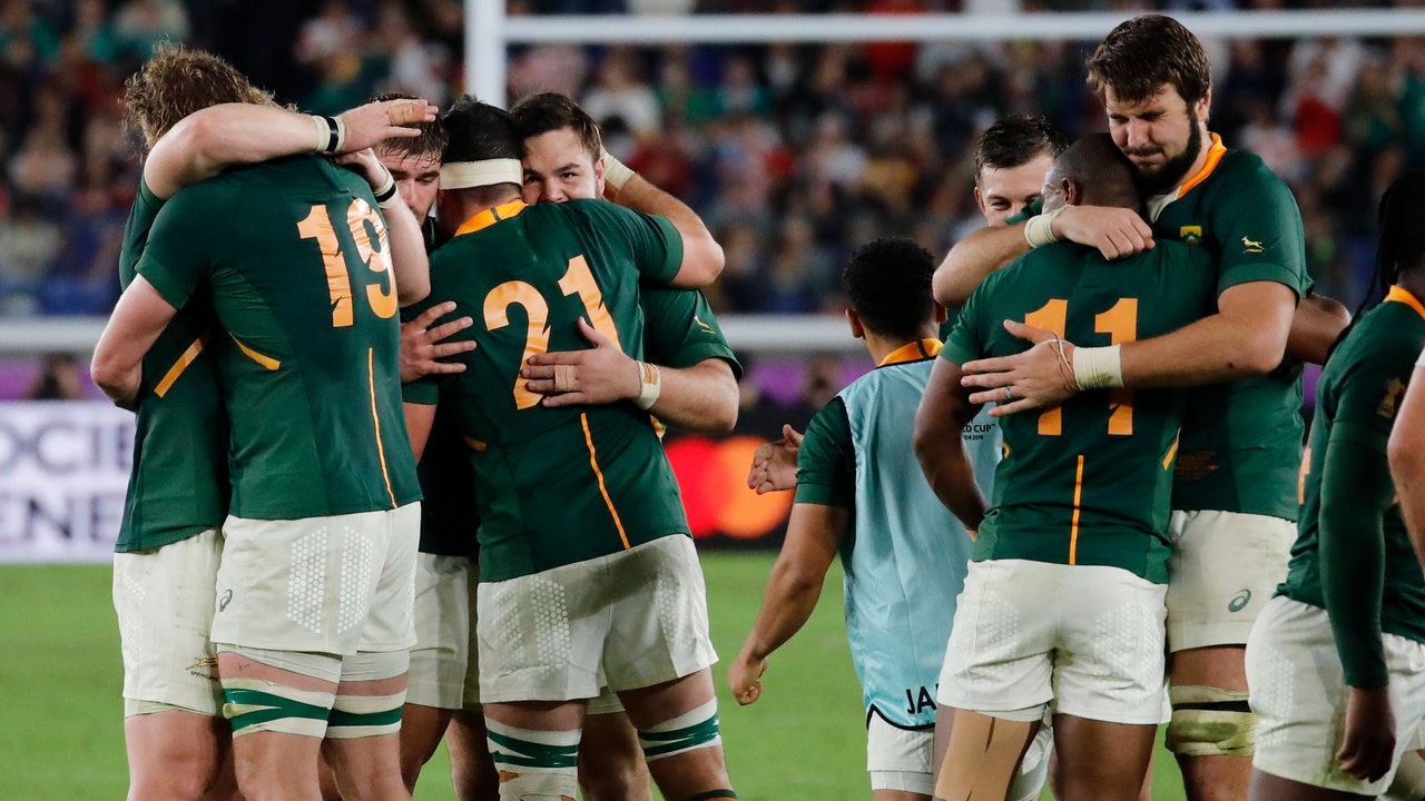 Springboks eke out 19-16 win over Wales, reach RWC final